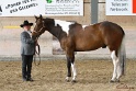 22-APHA HOTC_098